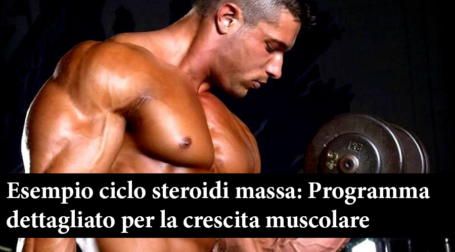 esempio ciclo steroidi massa